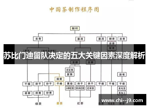 苏比门迪留队决定的五大关键因素深度解析